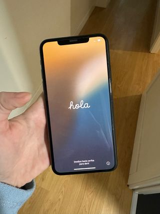 iPhone 11 Pro Max Space Gray