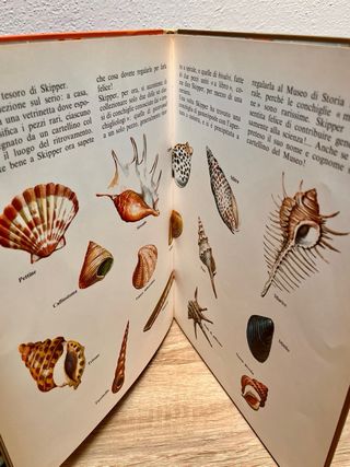 Raro Libro Barbie al Mare (1976) – Giunti Marzocco