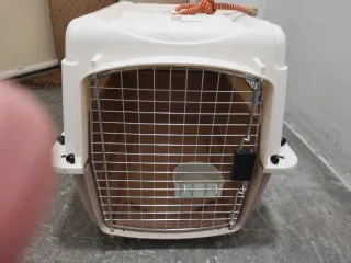 Transportín grande perro