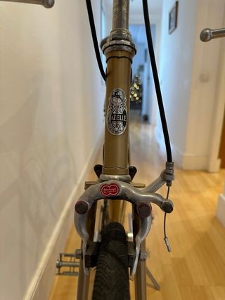 Bicicleta Gazelle Tour d’Italia