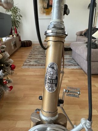 Bicicleta Gazelle Tour d’Italia