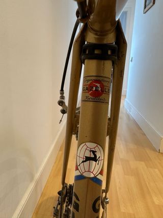 Bicicleta Gazelle Tour d’Italia