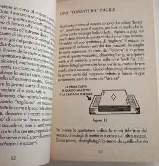 Magia in famiglia - Libro Harry Baron