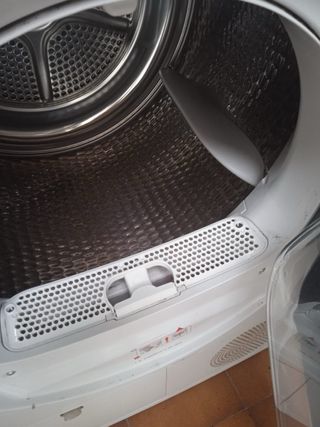 Secadora Bosch Avantixx 8