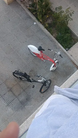 Bicicleta de paseo