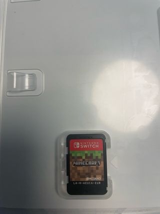 Minecraft per Nintendo Switch