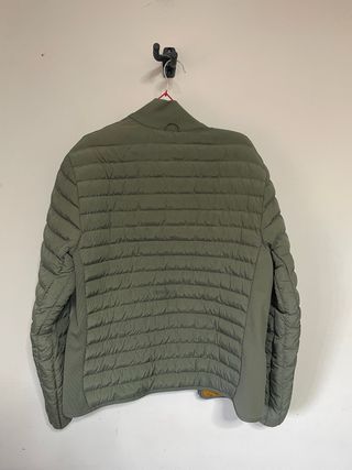 Plumas Lacoste Verde