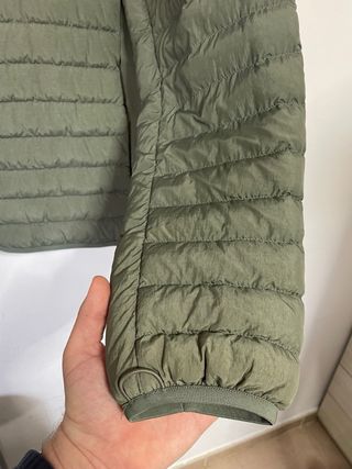 Plumas Lacoste Verde