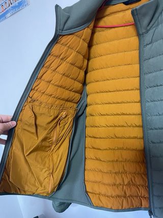 Plumas Lacoste Verde