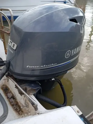 Barco Taylor 49 con motor Yamaha 50 CV