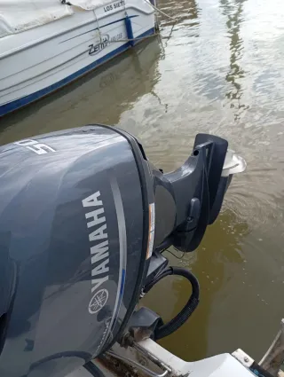 Barco Taylor 49 con motor Yamaha 50 CV