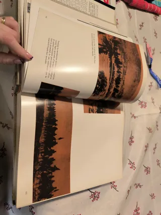 Comentarios a mil imágenes de la Guerra Civil espa