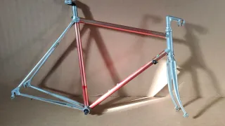 Cuadro bicicleta Vitus 979