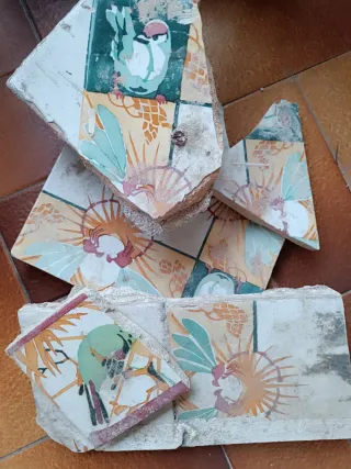 Trozos Baldosas Antiguas 1900