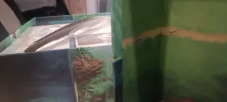 Sleeping Gods + Expansión Mazmorras.