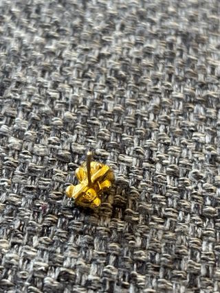 Set di gioielli Tous Orso Dorato