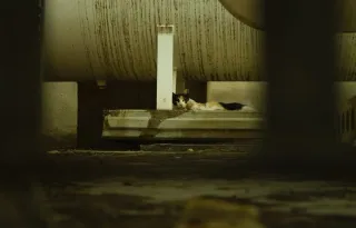 Canon EF-S 18-55mm f/3.5-5.6 III objetivo