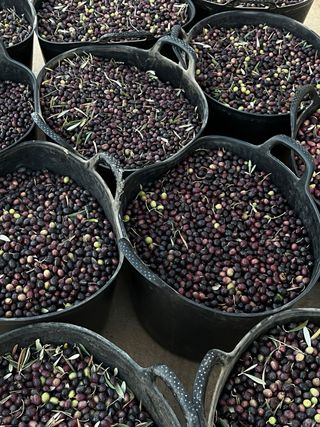 Portes y mudanzas baratos.