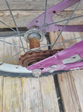 Bicicleta Hana Montana Niña Morada