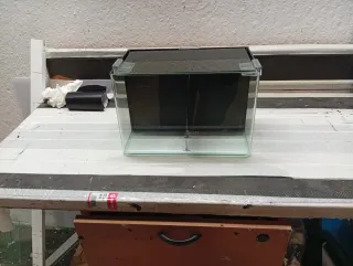 Acuario Betta con separador