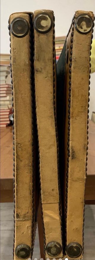 Biombo de piel con caballos