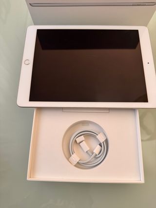 iPad 6ª Gen 128GB Bianco con custodia professionale