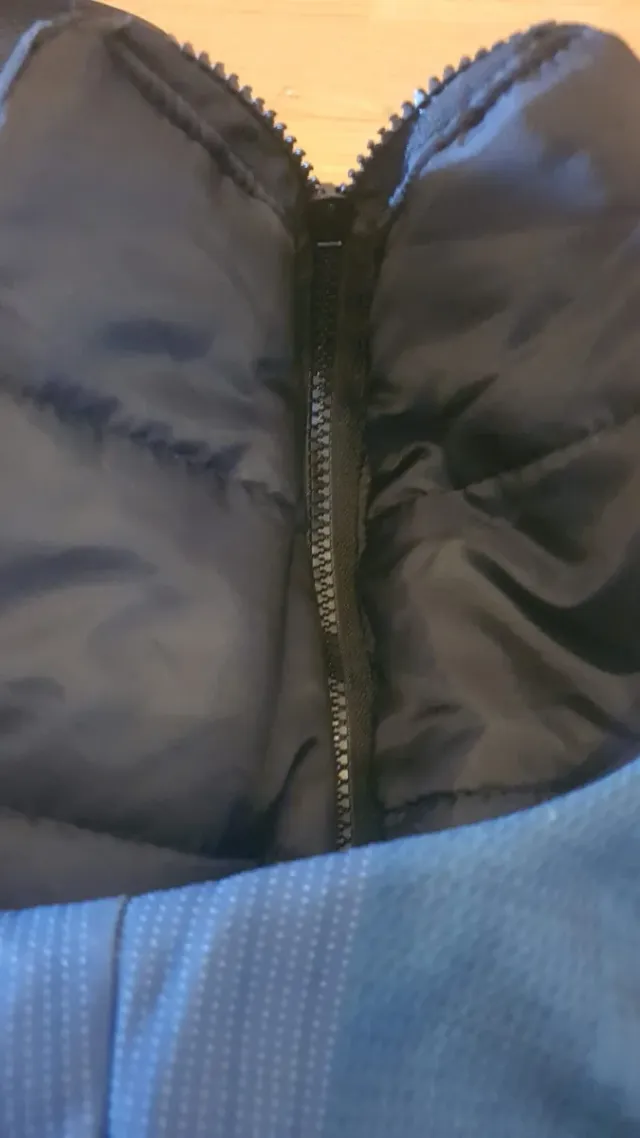 Impermeable Perro + Juguete Hueso
