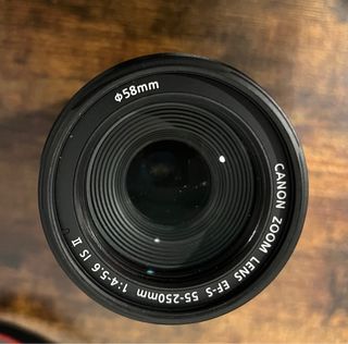 Objetivo Canon EFS 55-250mm