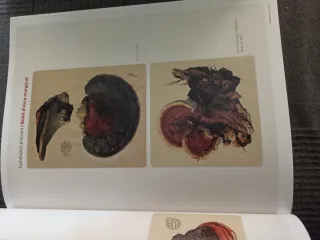 Àlbum naturalista de micologia