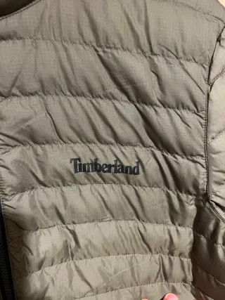 Casaco acolchoado Timberland verde