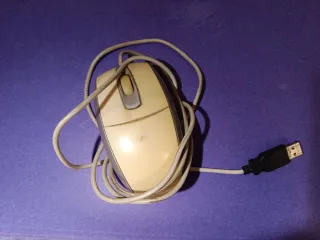 Ratón USB Beige y Gris