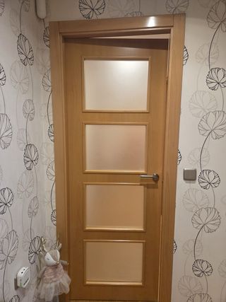 6 puertas ciegas y 3 cristaleras