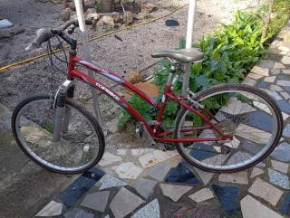 Bicicleta Topbike Roja