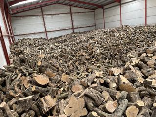 Leña de olivo y carrasca (Encina) - Verde o seca