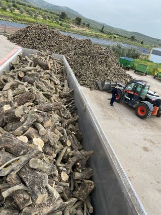 Leña de olivo y carrasca (Encina) - Verde o seca