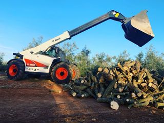 Leña de olivo y carrasca (Encina) - Verde o seca