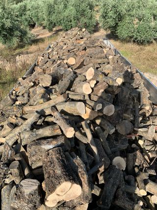 Leña de olivo y carrasca (Encina) - Verde o seca