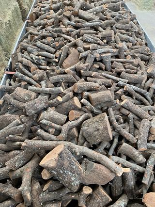 Leña de olivo y carrasca (Encina) - Verde o seca