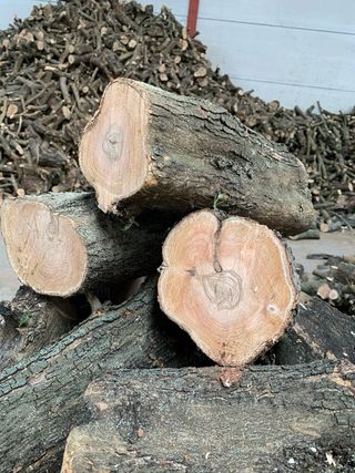 Leña de olivo y carrasca (Encina) - Verde o seca