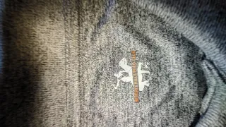 Polo Beverly Hills Polo Club Gris