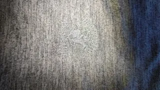 Polo Beverly Hills Polo Club Gris