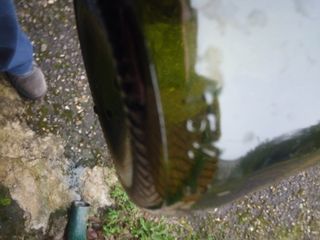 Bottiglioni vino 1,5L usati