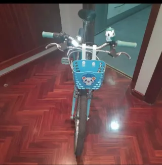 Bicicleta infantil 20 5-7 años