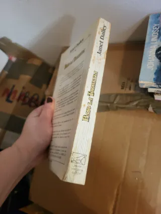 Bajo LA Tormenta/Ride the Thunder (Spanish Edit...