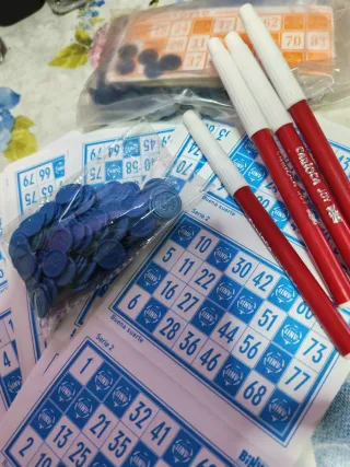 DVD Video Bingo Binvi 2ª Edición