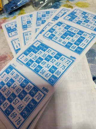 DVD Video Bingo Binvi 2ª Edición