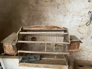 Antigua Jaula Madera para Reparar