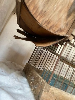 Antigua Jaula Madera para Reparar