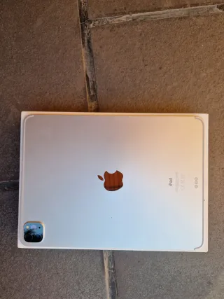 iPad Pro 11 Argento