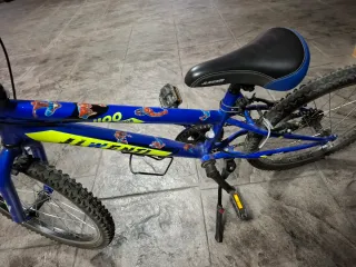 Bicicleta Infantil 20 Azul